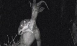 世界上最诡异的视频,揭秘全球最神秘诡异的视频之谜