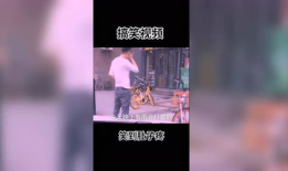 好玩的视频,笑翻天！盘点那些让人捧腹大笑的短视频精选